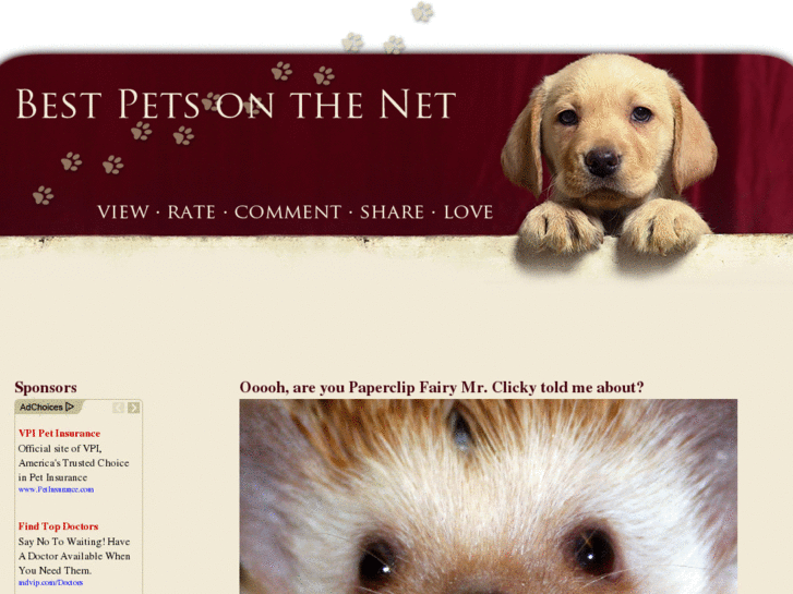 www.bestpetsonthenet.com