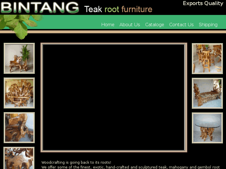 www.bintangroot.com