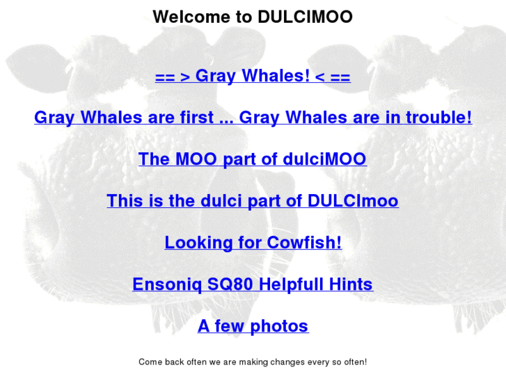 www.dulcimoo.com