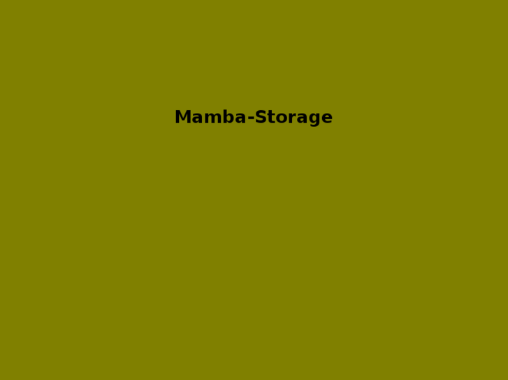 www.mamba-storage.com