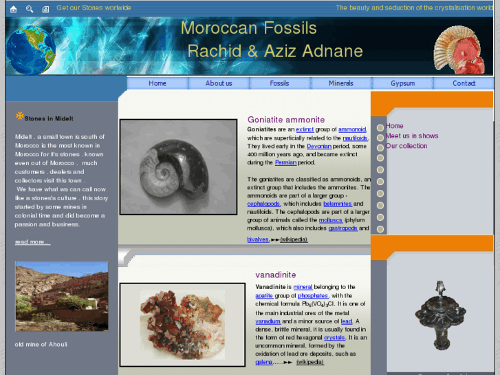 www.mineralsfossilsmeteorites.com