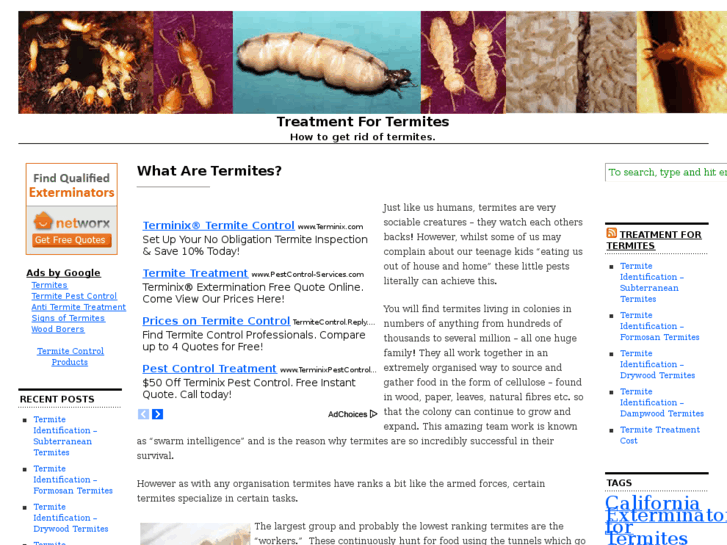 www.treatmentfortermites.com