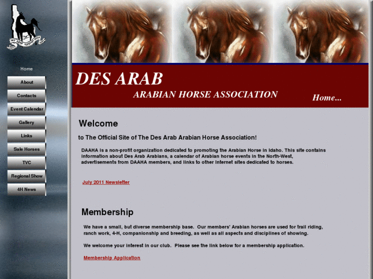 www.desarabhorse.com