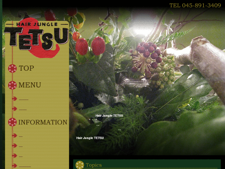 www.jungle-tetsu.com