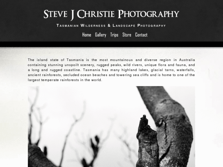 www.stevejchristie.com