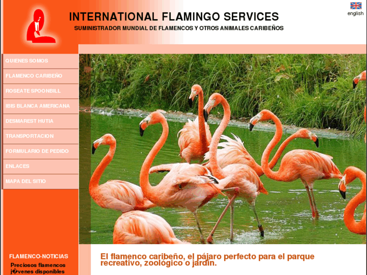 www.flamingo-services.es