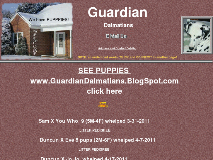 www.guardiandalmatians.com