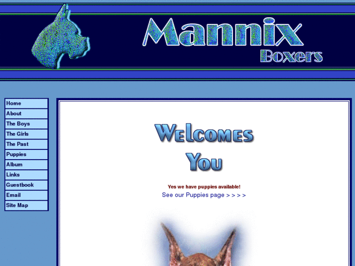 www.mannixboxers.com