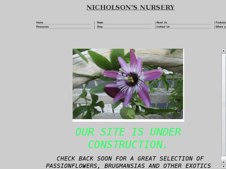 www.nicholsonsnursery.com