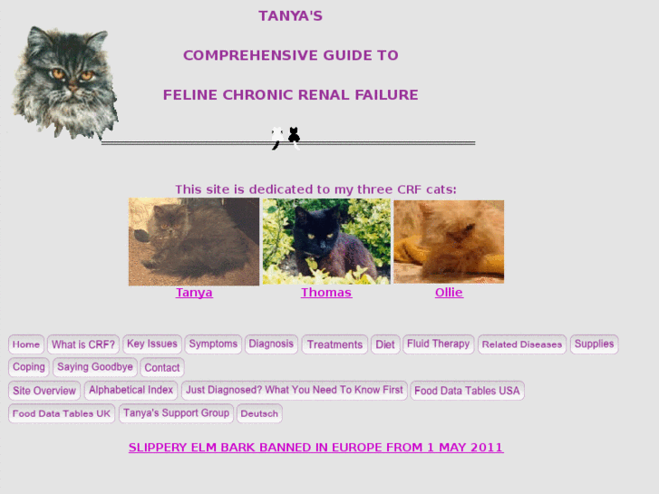 www.felinecrf.org