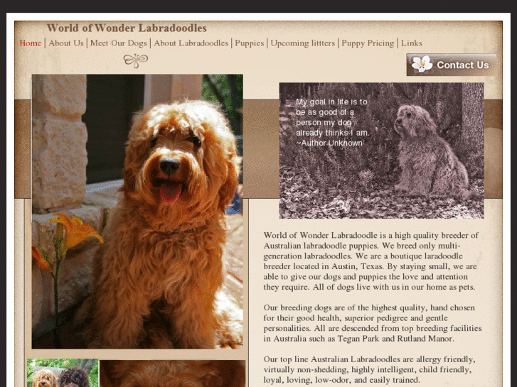 www.mylabradoodlepuppies.com