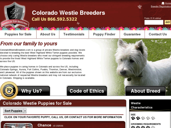 www.coloradowestiebreeders.com