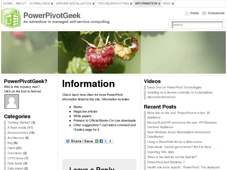 www.powerpivot.info