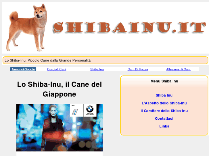 www.shibainu.it