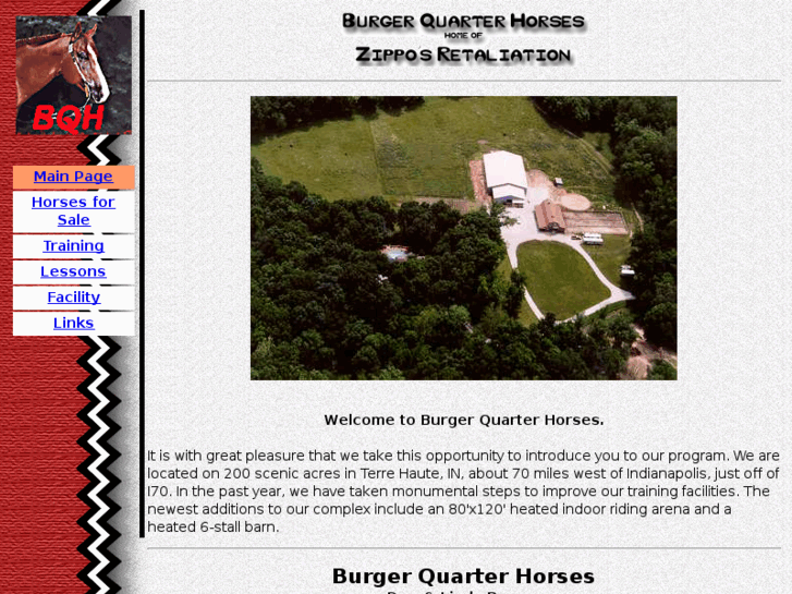 www.burgerquarterhorses.com