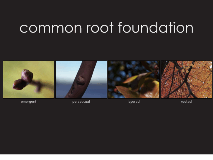 www.commonrootfoundation.org