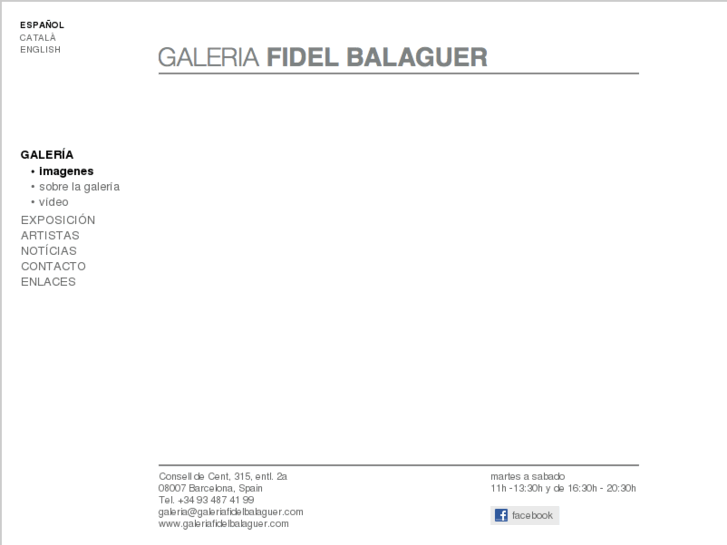 www.galeriafidelbalaguer.com