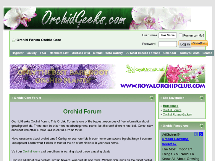 www.orchidgeeks.com