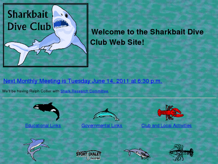 www.sharkbaitdiveclub.org