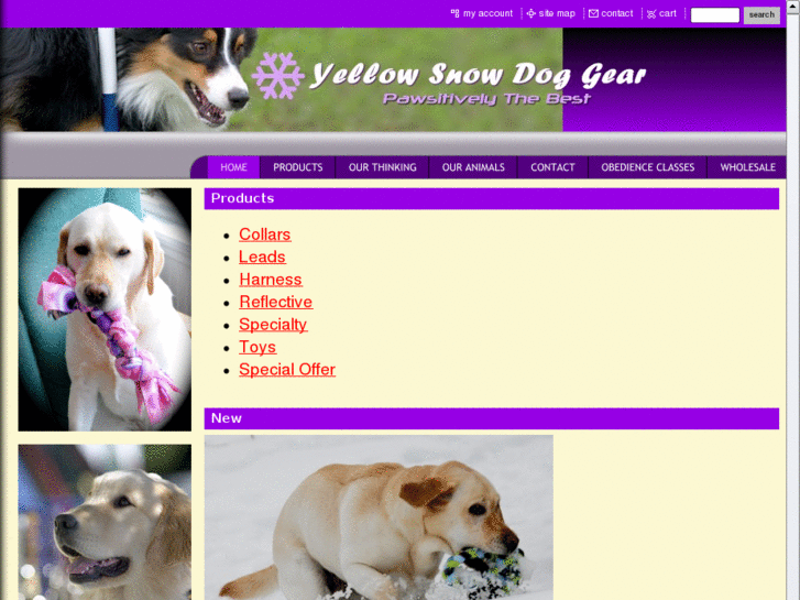 www.yellowsnowdoggear.com