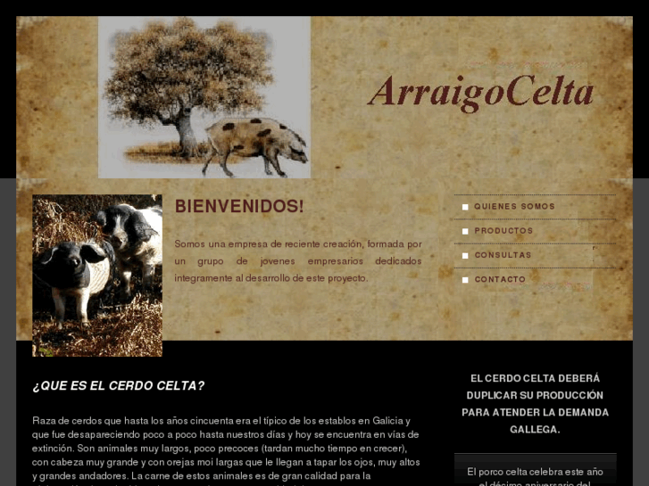 www.arraigocelta.es