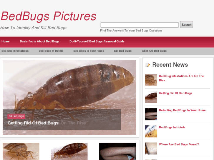 www.bedbugspictures.us