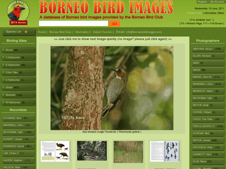 www.borneobirdimages.com