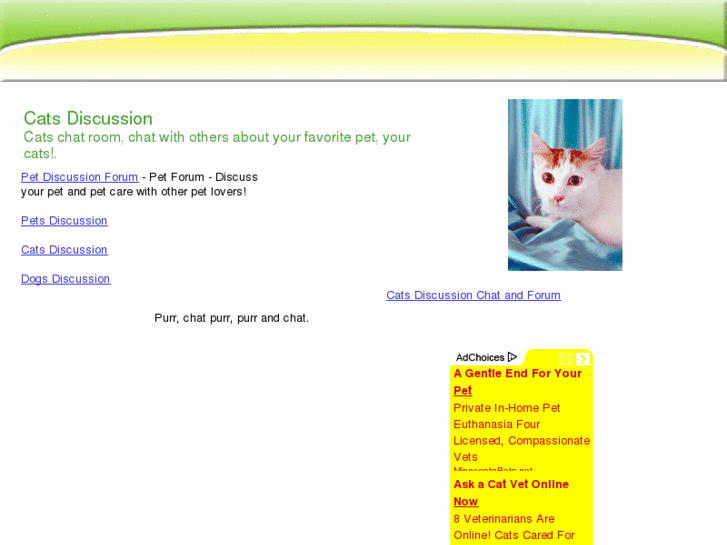 www.catsdiscussion.com