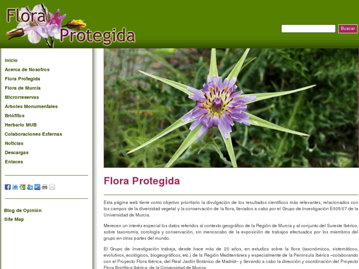 www.floraprotegida.com