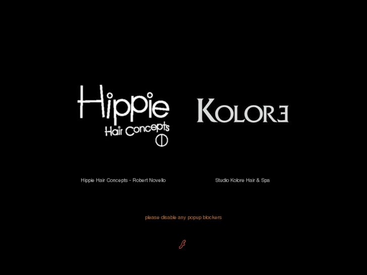 www.hippiehairconcepts.com