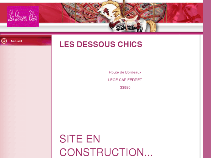 www.lesdessouschics.net