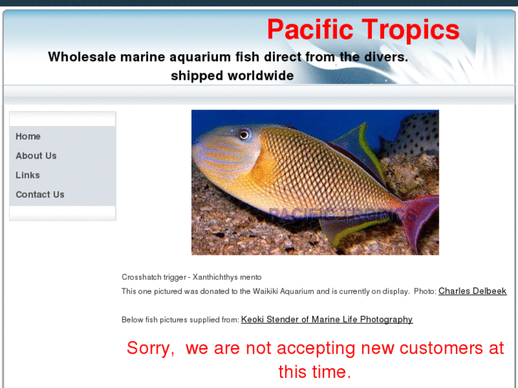 www.pacifictropics.com