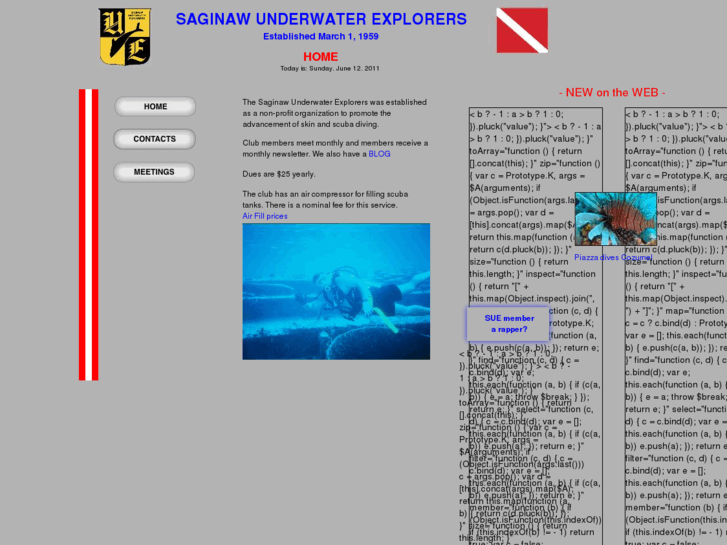 www.saginawunderwaterexplorers.org