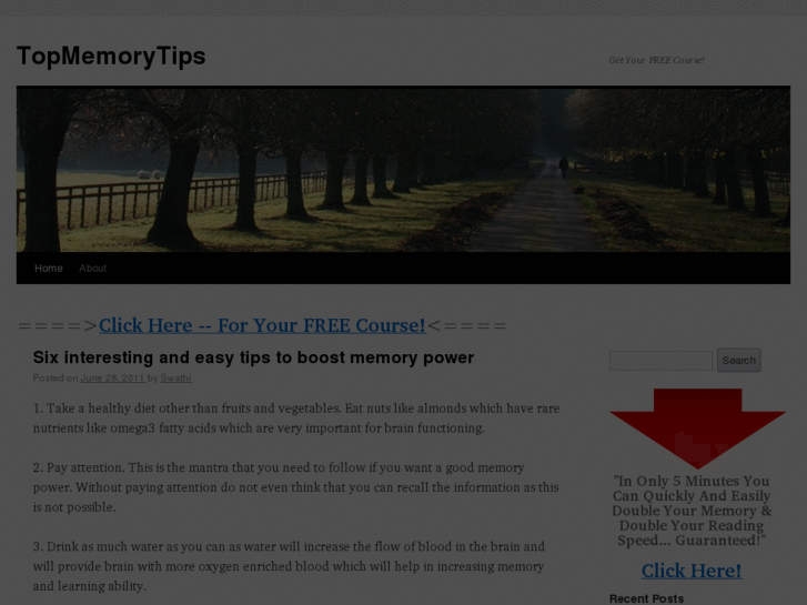 www.topmemorytips.com