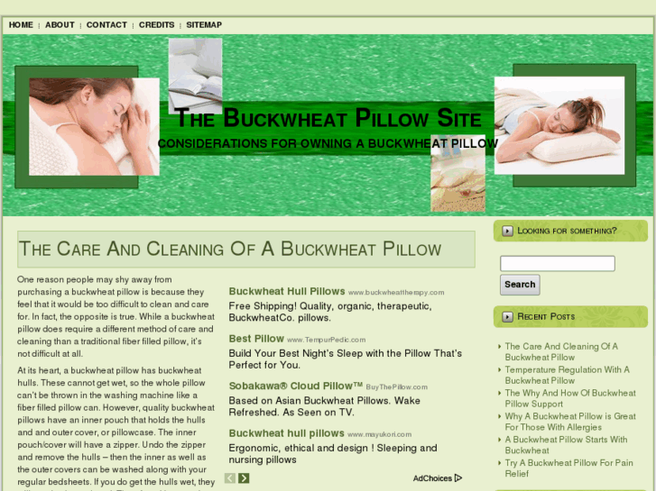 www.buckwheatpillowsite.com