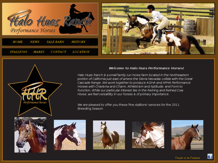 www.halohuesranch.com