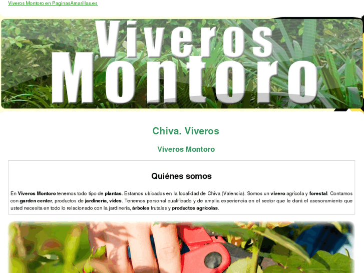 www.viverosmontoro.com