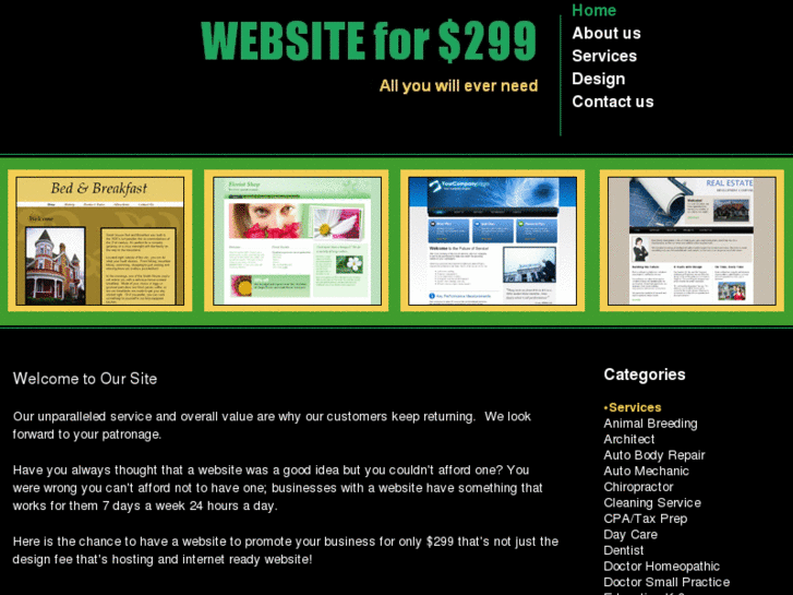 www.websitefor299.com