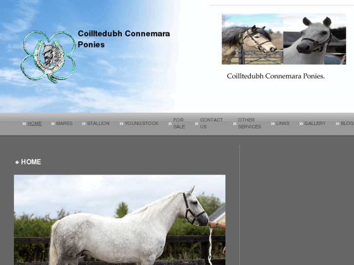 www.coilltedubh.com