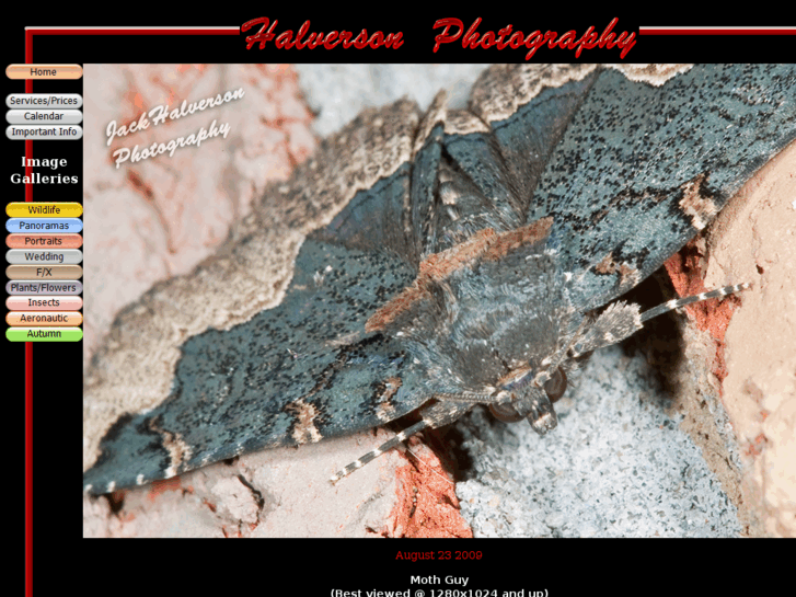 www.halverson-photography.com