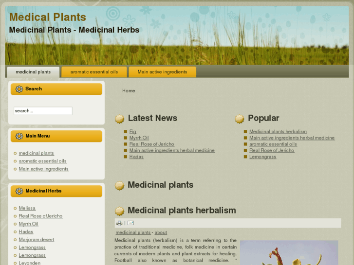 www.medicinal-plants.org