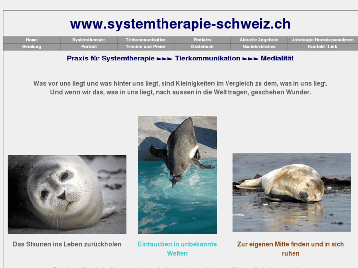 www.systemtherapie-schweiz.ch