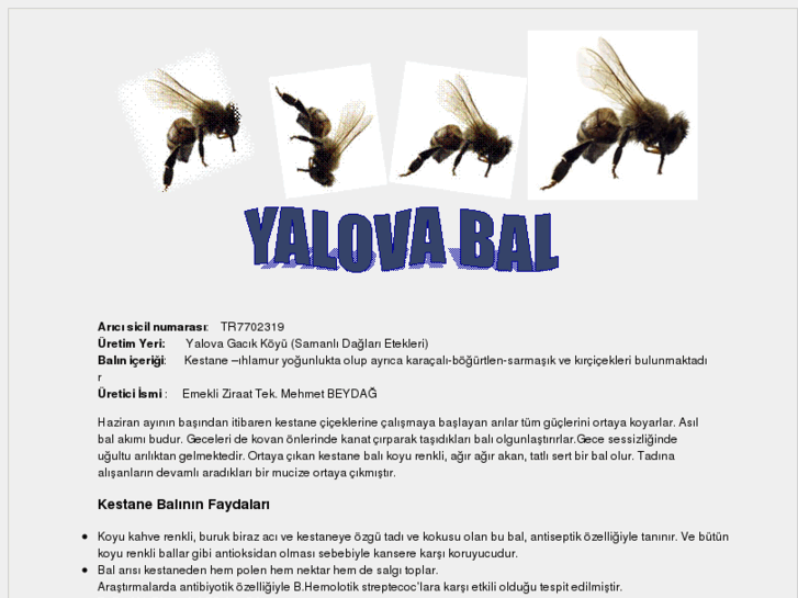 www.yalovabal.com