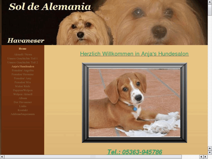 www.anjas-hundesalon.com