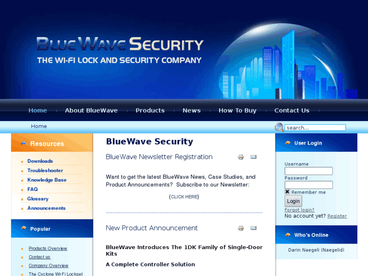 www.bluewavesecurity.com