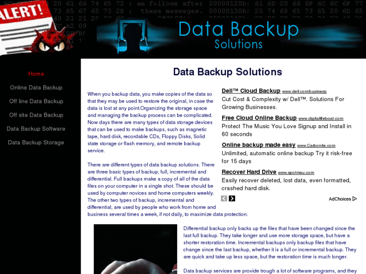 www.databackupsolutions.biz