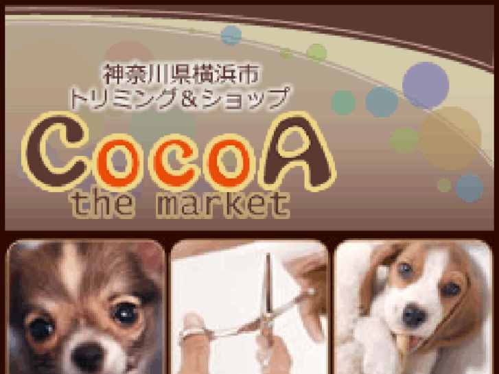 www.e-cocoa.mobi