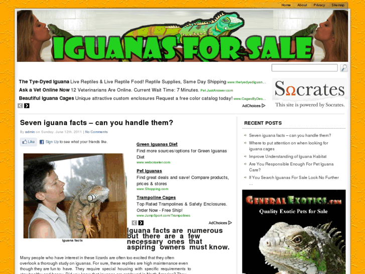 www.iguanasforsale.net