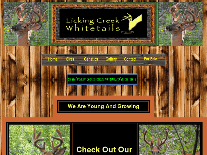 www.lickingcreekwhitetails.com