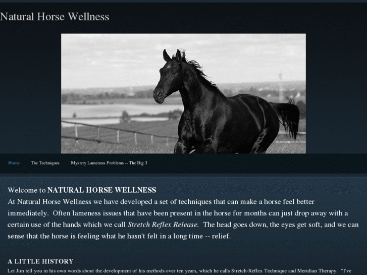 www.naturalhorsewellness.com